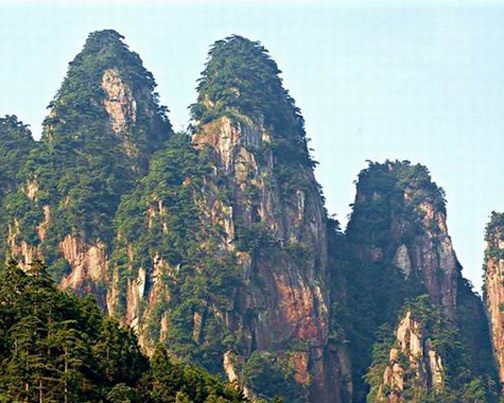 ��������������칫�� - ��ָ��