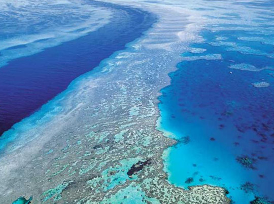 ��������������칫�� - �Ĵ�����--�󱤽�